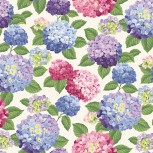 Hydrangeas